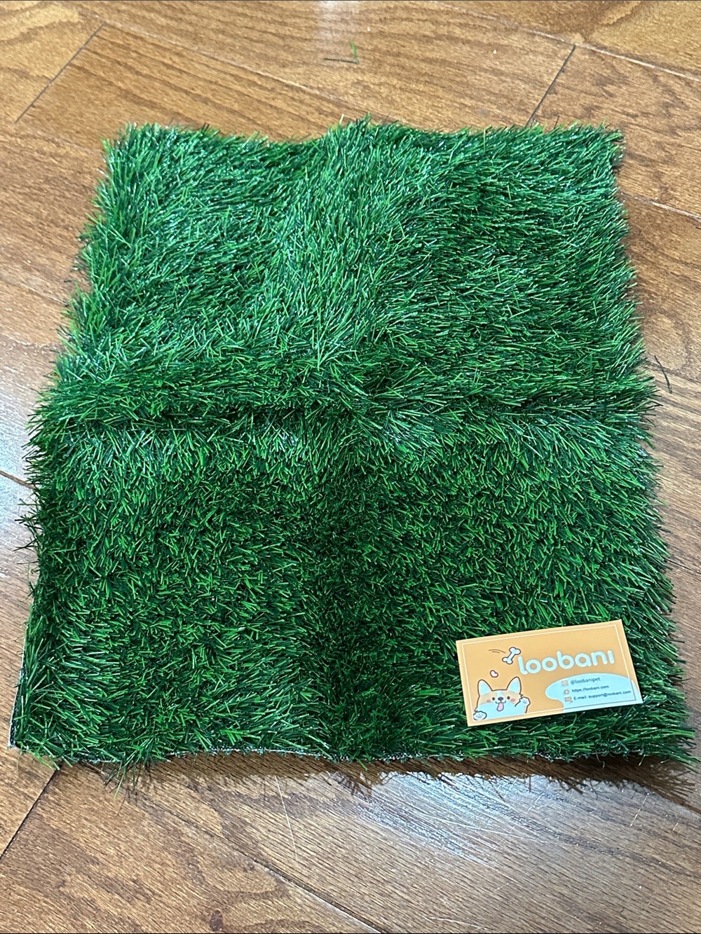 Loobani Green Artificial Grass pad replacement new